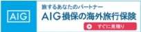 海外旅行傷害保険はAIG損保へ