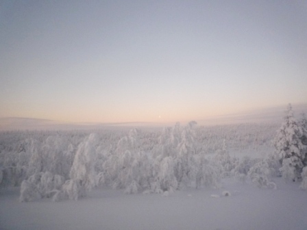 バスからの風景(樹氷)